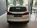 EVO EVO5 1.5 turbo Gpl 120cv Bianco - thumbnail 5