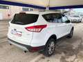 Ford Kuga 1.5 EcoBoost 120 CV S&S 2WD Titanium Weiß - thumbnail 2