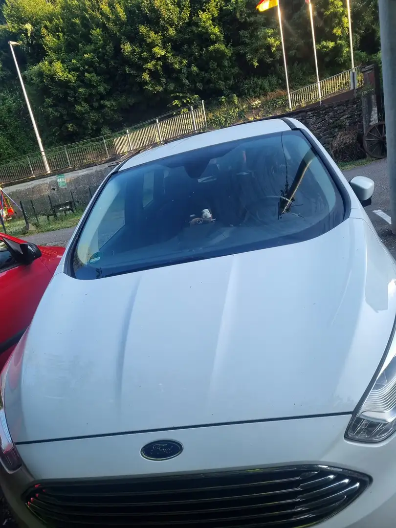 Ford C-Max 1.6 ecoboost Plus 150cv - 1