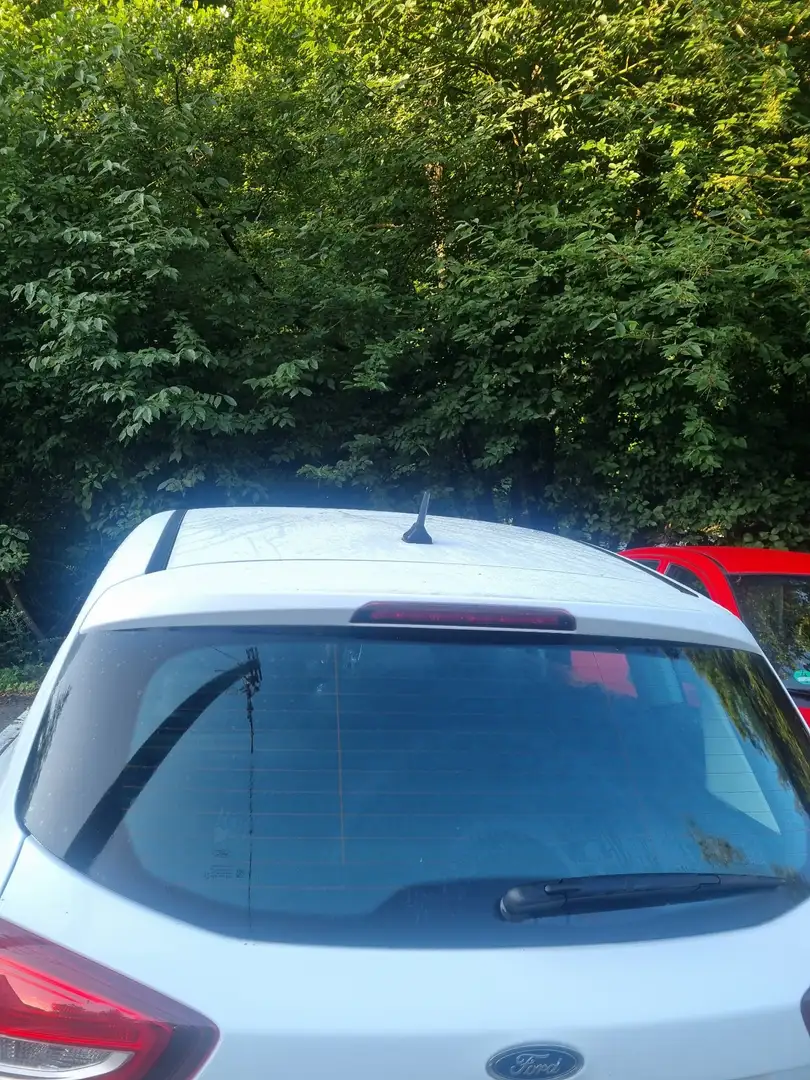 Ford C-Max 1.6 ecoboost Plus 150cv - 2