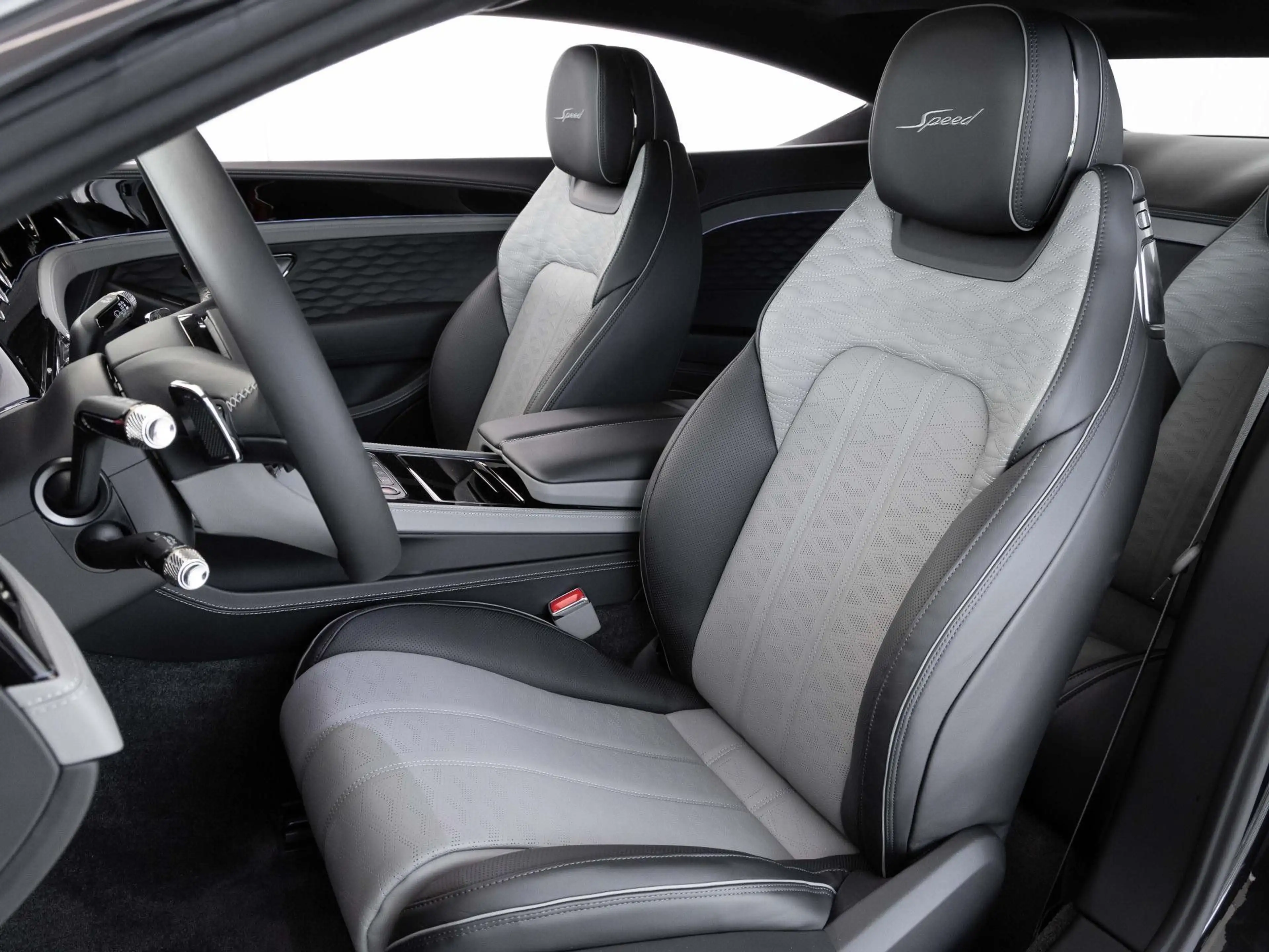 Bentley Continental GT Speed OMBRE PAINT / FIRST CAR IN EU — photo 10