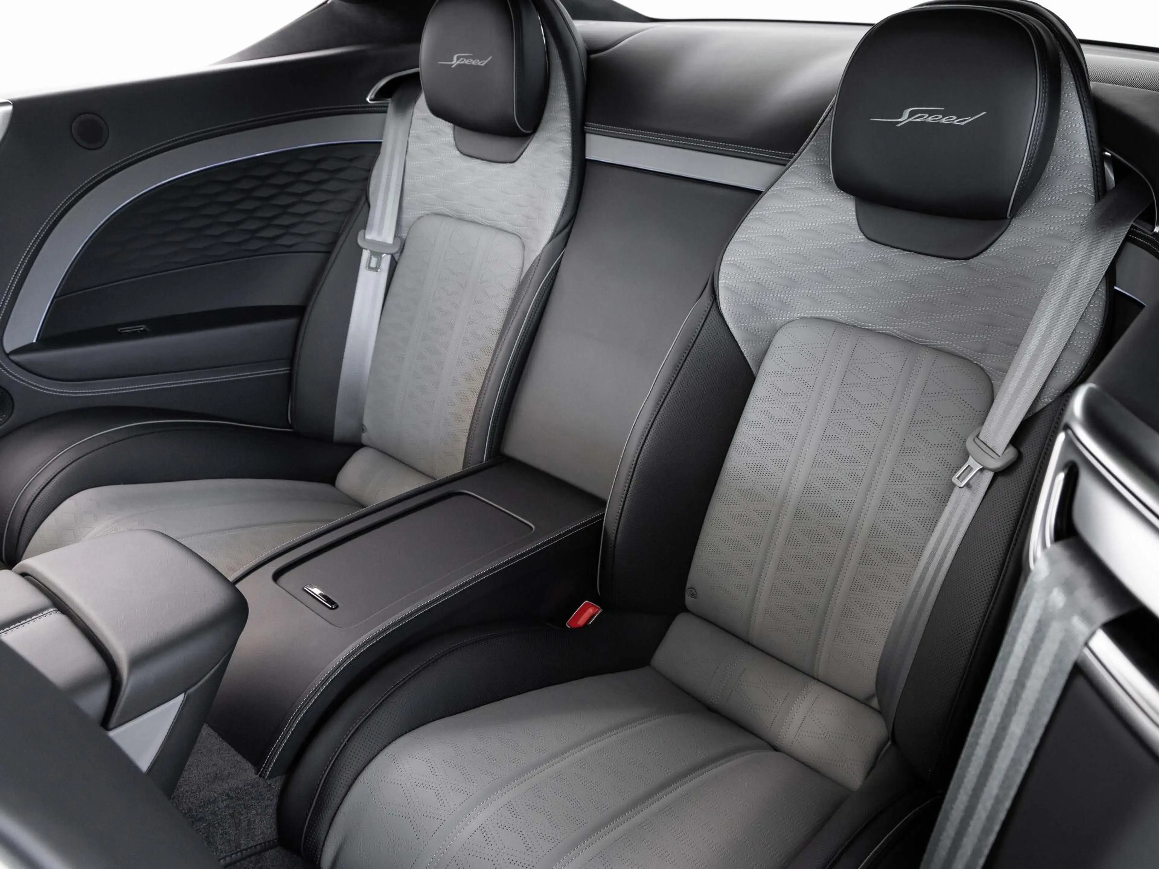 Bentley Continental GT Speed OMBRE PAINT / FIRST CAR IN EU — photo 9