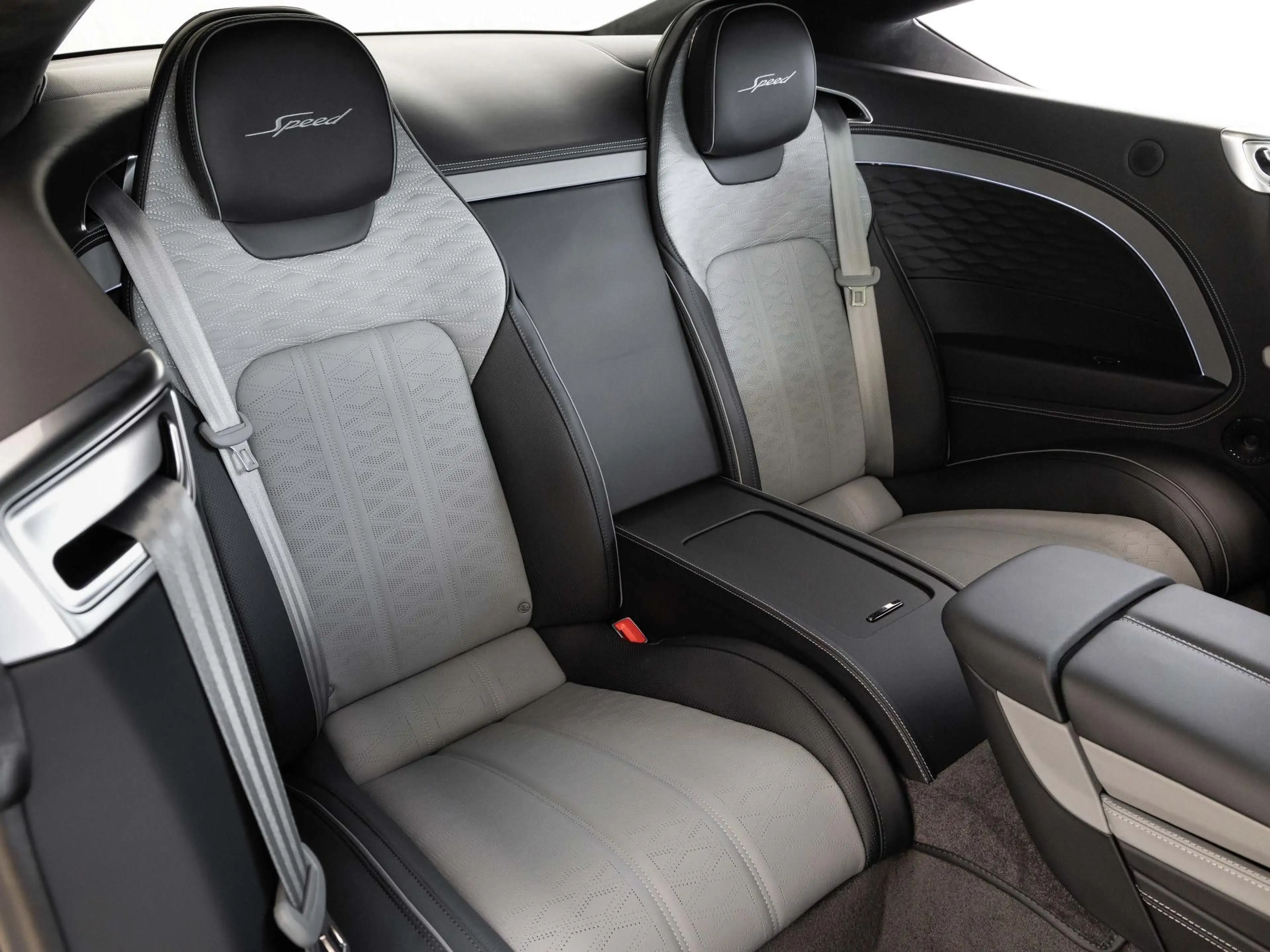 Bentley Continental GT Speed OMBRE PAINT / FIRST CAR IN EU — photo 26