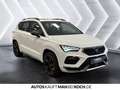 CUPRA Ateca 2.0 TSI DSG 4Drive PANO SOUND AHK ACC 360° Weiß - thumbnail 6
