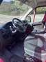 Fiat Ducato 33 2.3 MJT 140CV PM-TM Furgone Rosso - thumbnail 11