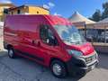 Fiat Ducato 33 2.3 MJT 140CV PM-TM Furgone Rosso - thumbnail 4