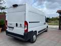 Fiat Ducato Maxi 140 cv furgonato Bianco - thumbnail 4