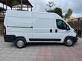 Fiat Ducato Maxi 140 cv furgonato Bianco - thumbnail 6