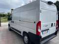 Fiat Ducato Maxi 140 cv furgonato Bianco - thumbnail 5