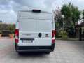 Fiat Ducato Maxi 140 cv furgonato Bianco - thumbnail 10