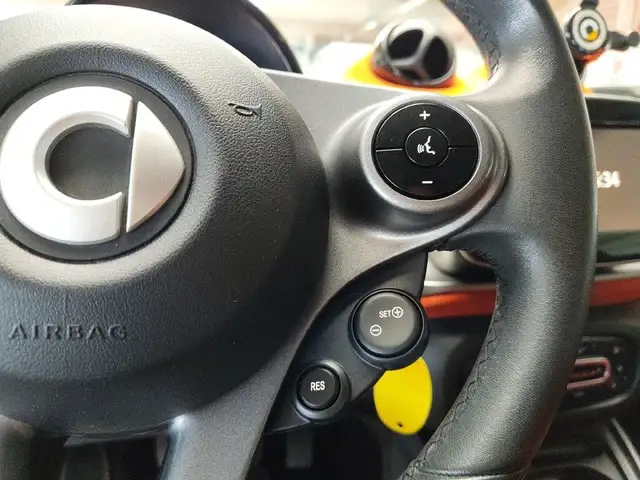 Smart Forfour view 19