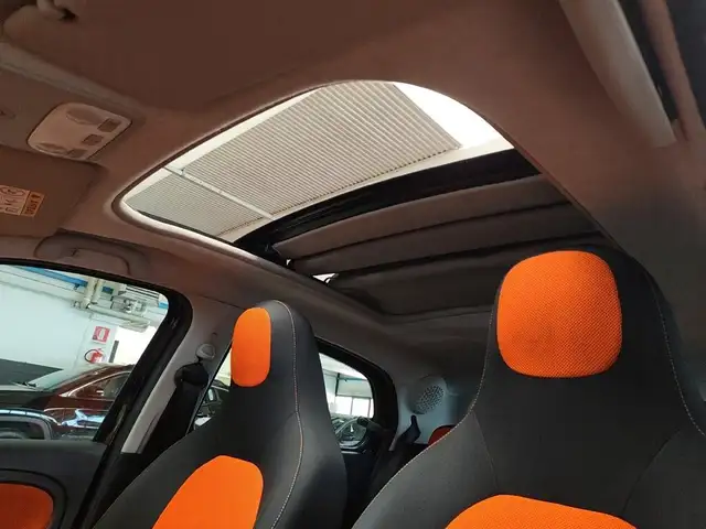 Smart Forfour view 17