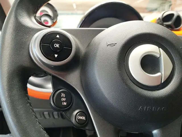 Smart Forfour view 18