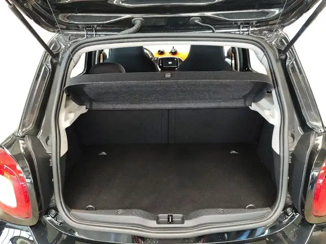 Smart Forfour view 15