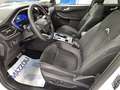 Ford Kuga 2.5 Plug In Hybrid 243 CV CVT 2WD Active X Weiß - thumbnail 7
