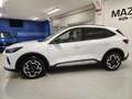 Ford Kuga 2.5 Plug In Hybrid 243 CV CVT 2WD Active X Weiß - thumbnail 3