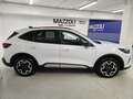 Ford Kuga 2.5 Plug In Hybrid 243 CV CVT 2WD Active X Weiß - thumbnail 6