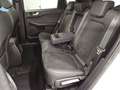 Ford Kuga 2.5 Plug In Hybrid 243 CV CVT 2WD Active X Weiß - thumbnail 9