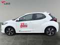 Toyota Yaris - 1.5 l. 116 PS 5-türig Team D Weiß - thumbnail 3