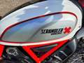 Ducati Scrambler Desert Sled 800 / 2019 / 10700 Kms Bianco - thumbnail 17