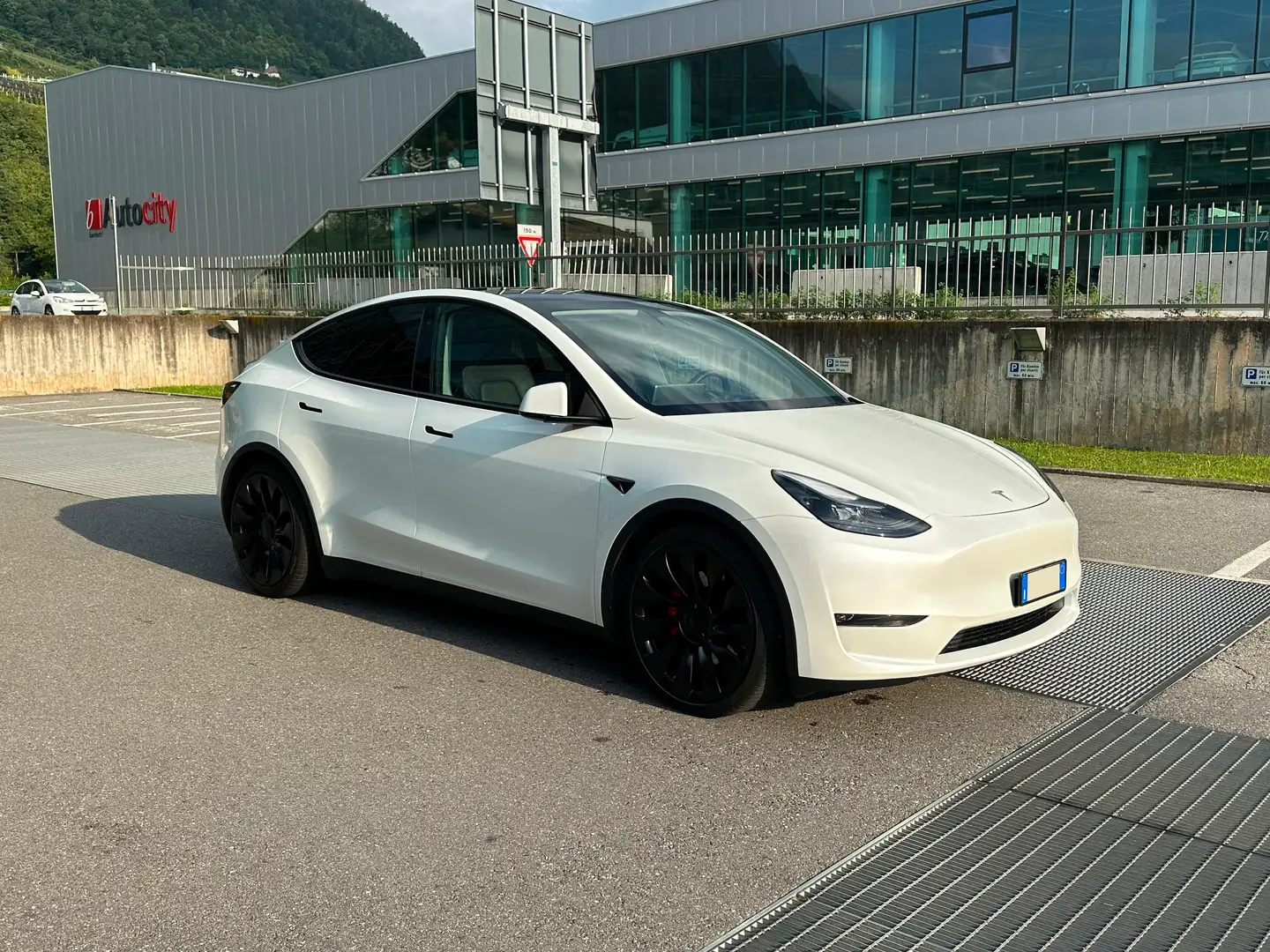 Tesla Model Y 2024 Performance Dual Motor awd Bianco - 2