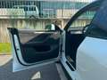 Tesla Model Y 2024 Performance Dual Motor awd Bianco - thumbnail 12