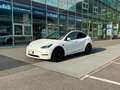 Tesla Model Y 2024 Performance Dual Motor awd Bianco - thumbnail 1