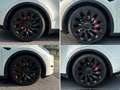 Tesla Model Y 2024 Performance Dual Motor awd Bianco - thumbnail 9