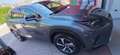 Lexus NX 300h luxury - thumbnail 17