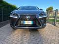 Lexus NX 300h luxury - thumbnail 10