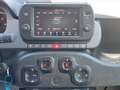 Fiat Panda Panda Cross 0.9 TwinAir Turbo S&S 4x4 Grigio - thumbnail 12