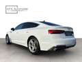 Audi A5 35 TDI SB Aut | S LINE | MATRIX BEAM |CARPLAY Weiß - thumbnail 5