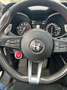 Alfa Romeo Stelvio Stelvio V6 2.9 Bi-Turbo AT8-Q4 Quadrifoglio Gris - thumbnail 10
