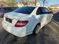 Mercedes-Benz C 300 *AUTOM*LEDER*SD*ALU* Blanc - thumbnail 5