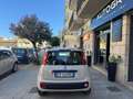 Fiat Panda Panda III 2012 1.2 Easy 69cv Beige - thumbnail 5
