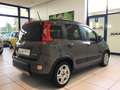 Fiat Panda Panda 1.0 FireFly S&S Hybrid City Life MY22 Argent - thumbnail 7