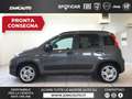 Fiat Panda Panda 1.0 FireFly S&S Hybrid City Life MY22 Argent - thumbnail 1