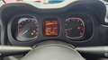 Fiat Panda 1.0 FireFly S&S Hybrid UNIPRO TAGL UFF NEOPAT OK Rosso - thumbnail 9