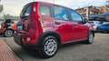 Fiat Panda 1.0 FireFly S&S Hybrid UNIPRO TAGL UFF NEOPAT OK Rosso - thumbnail 4