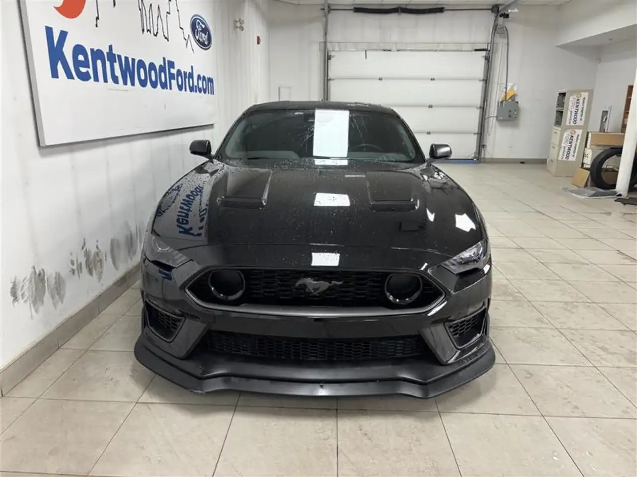 Ford Mustang fotografie Ford Mustang
