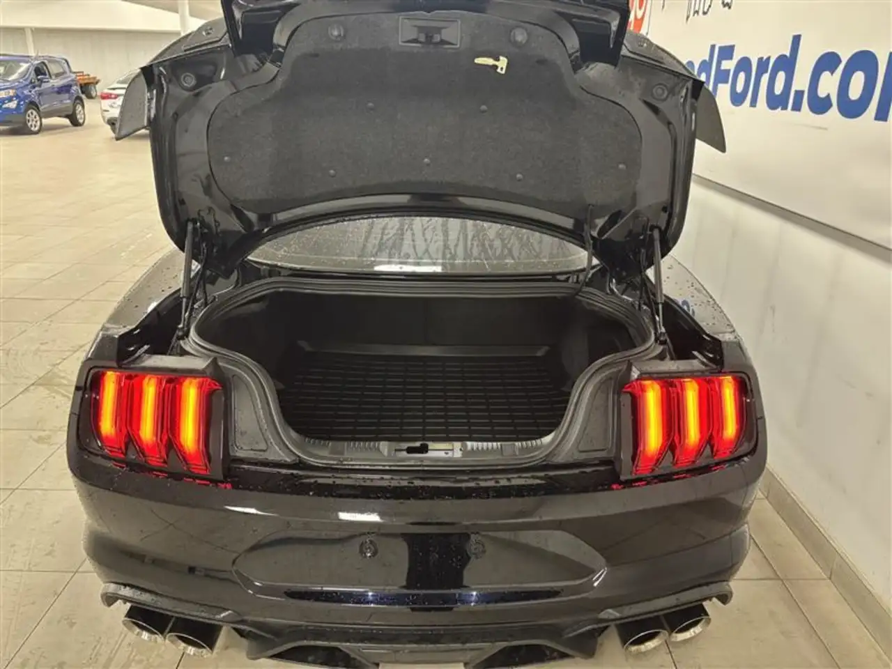 Ford Mustang fotografie Ford Mustang