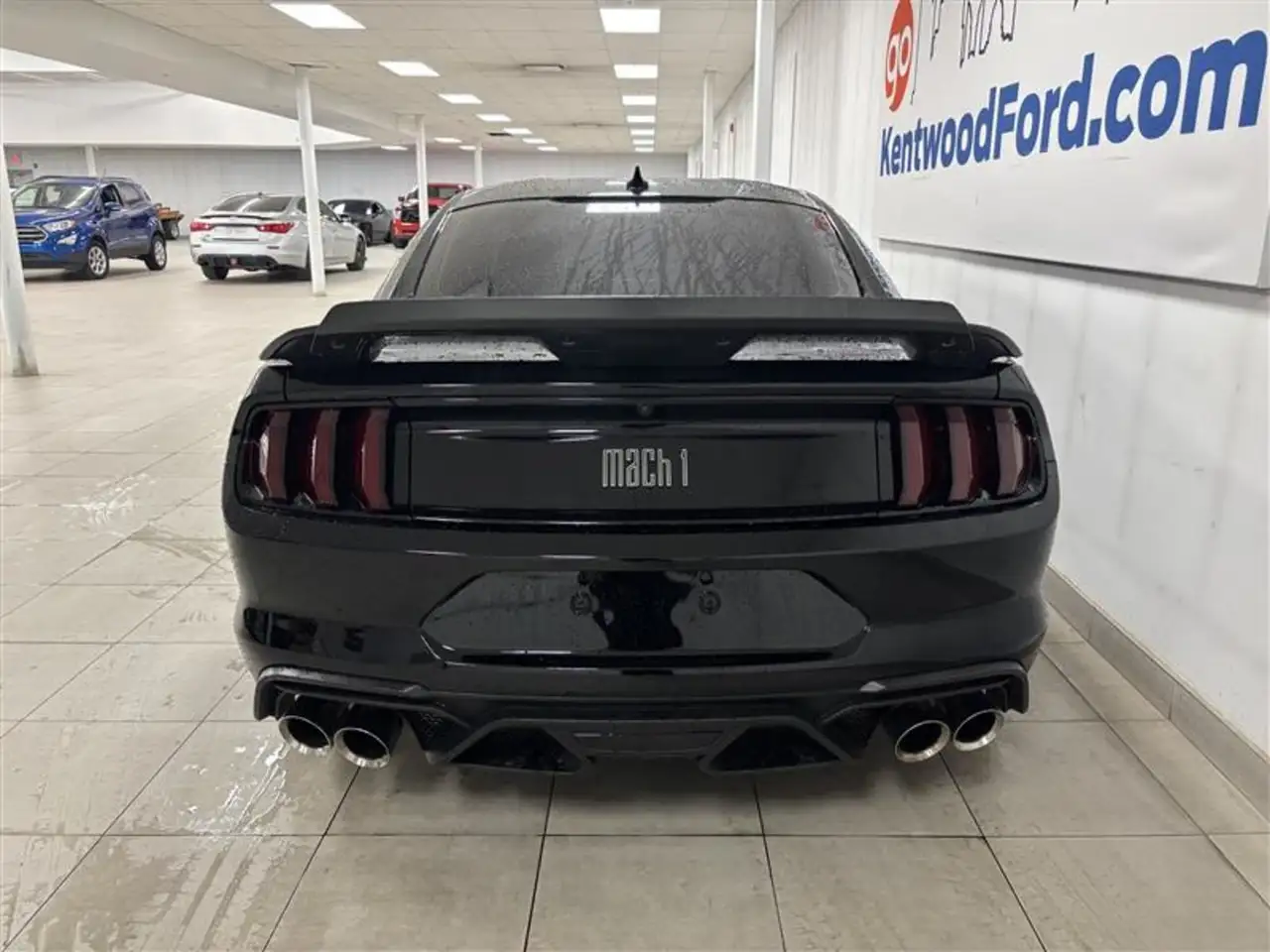 Ford Mustang fotografie Ford Mustang