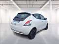 Lancia Ypsilon 1.0 firefly hybrid Platino s&s 70cv Wit - thumbnail 7