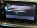 Skoda Kamiq 1.5 TSI CleverOPF Panorama, Autom, AHK Bianco - thumbnail 16