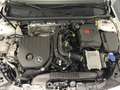 Mercedes-Benz CLA 200 SB AMG *Techn-P*Pan.Schd*Winter-P*Lade-P Blanco - thumbnail 20