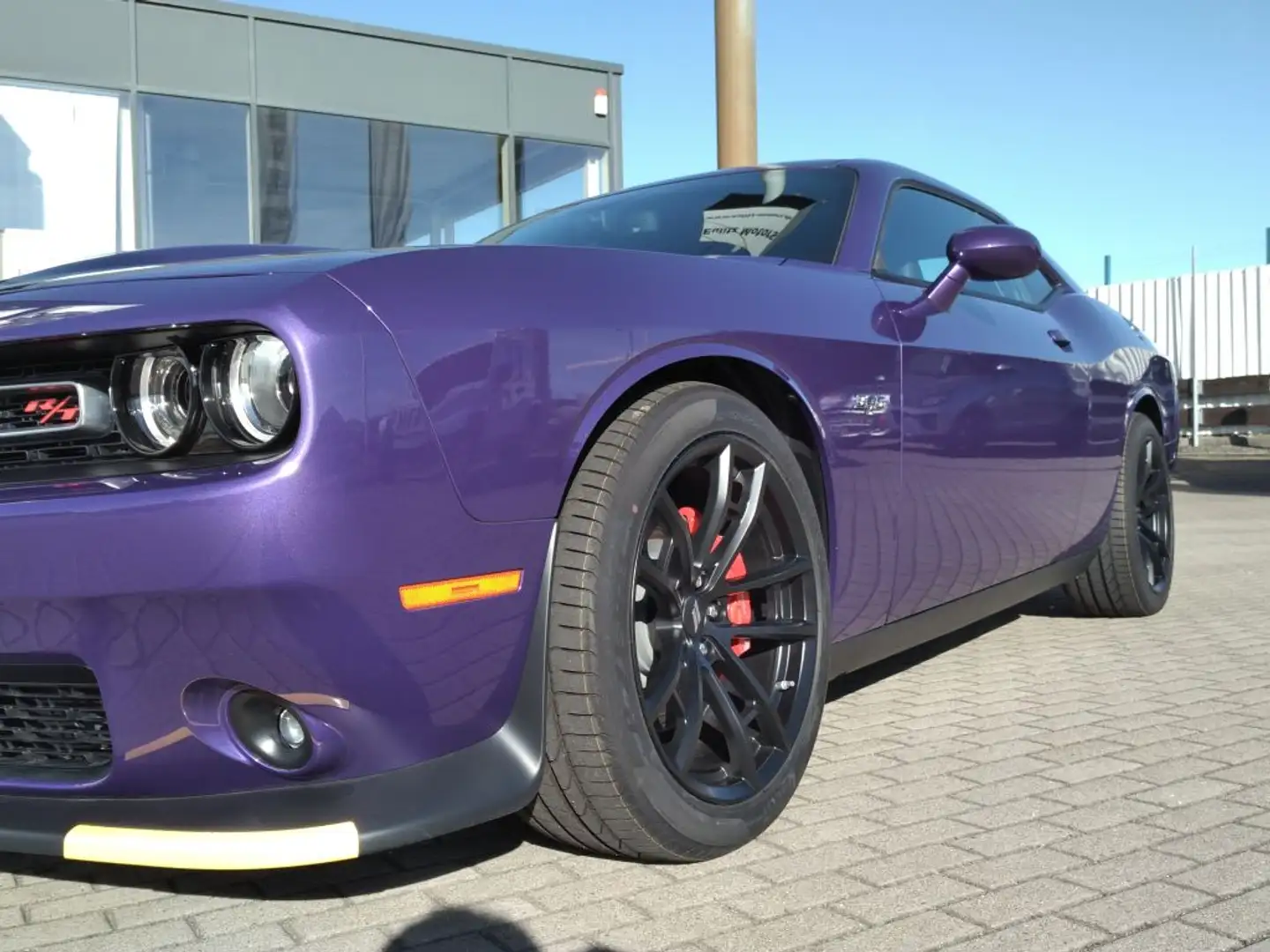 Dodge Challenger Automatik R/T Plus Classic Violett - 2