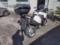 Triumph Tiger 1050 STD Blanco - thumbnail 1