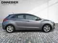 Hyundai i30 FIFA World Cup Edition CAM NAVI PDC Grau - thumbnail 6
