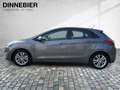 Hyundai i30 FIFA World Cup Edition CAM NAVI PDC Grau - thumbnail 3