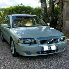 D5 Executive
